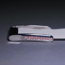 Power Clasp - Nuclieus - Noucou - Apple Watch - Apple iPhone - Diamonds - Jewelry